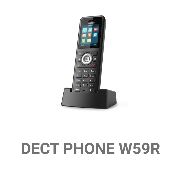 DECT PHONE W59R