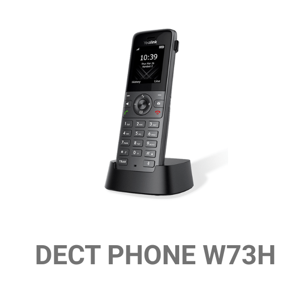 DECT PHONE W73H