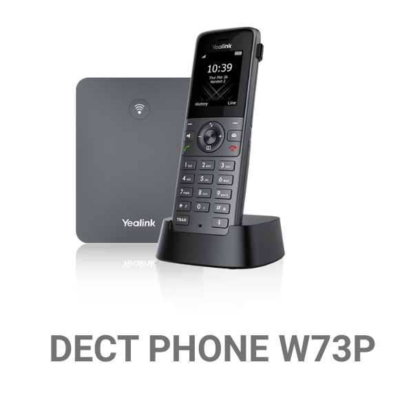DECT PHONE W73P