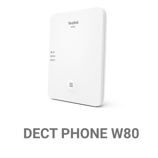 DECT PHONE W80